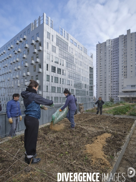Agriculture urbaine à Paris