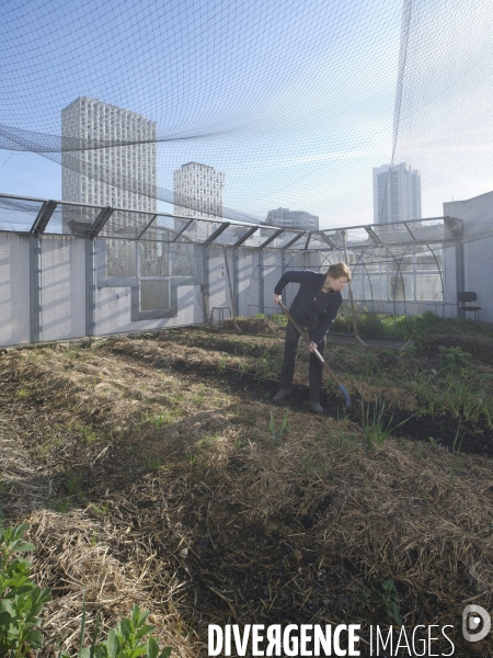 Agriculture urbaine à Paris
