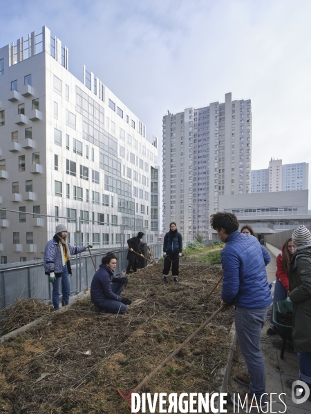 Agriculture urbaine à Paris