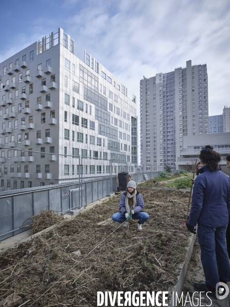 Agriculture urbaine à Paris