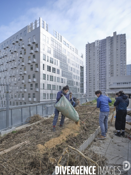 Agriculture urbaine à Paris