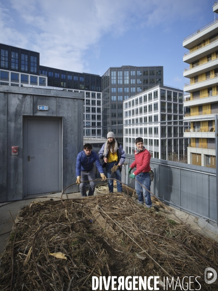 Agriculture urbaine à Paris