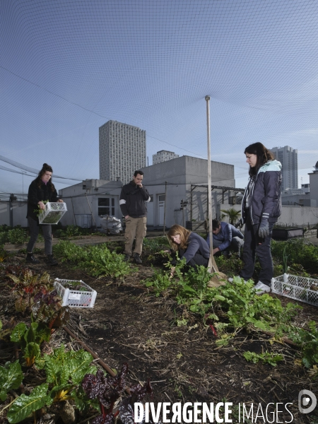 Agriculture urbaine à Paris
