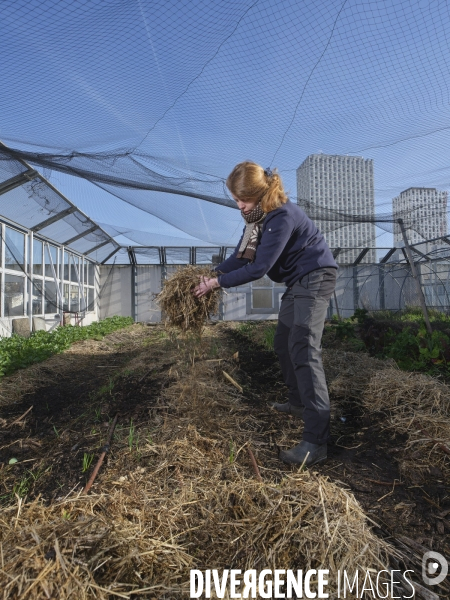 Agriculture urbaine à Paris
