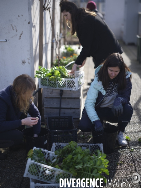 Agriculture urbaine à Paris