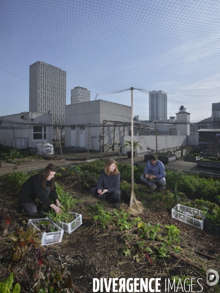 Agriculture urbaine à Paris