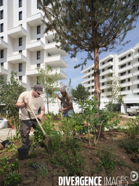 Aménagement paysager en agglomération urbaine