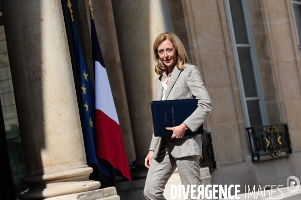 Conseil des ministres du nouveau gouvernement borne