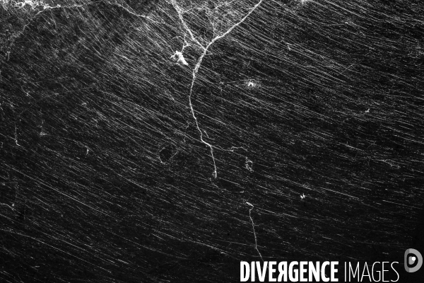 Vieilles toiles d araignes