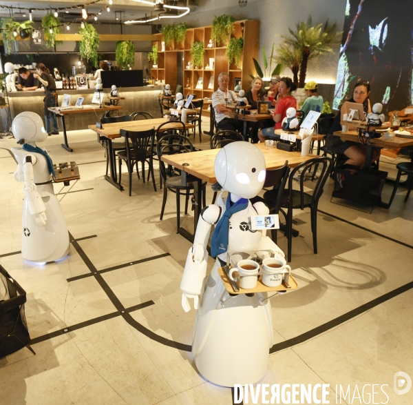 Dawn avatar robot cafe a tokyo