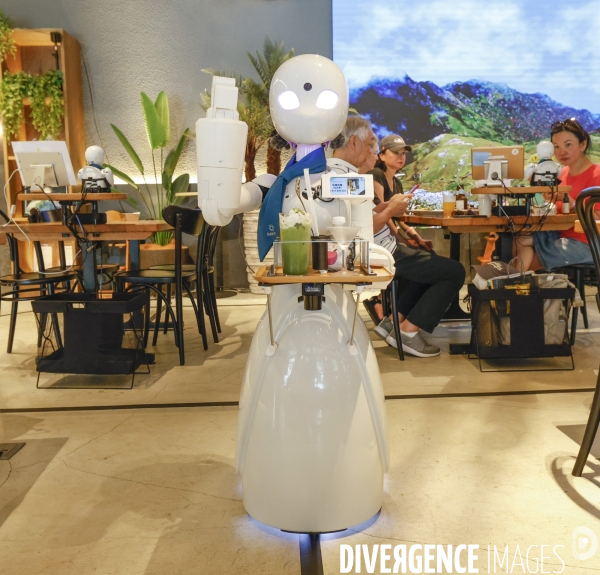 Dawn avatar robot cafe a tokyo