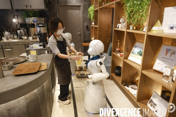 Dawn avatar robot cafe a tokyo