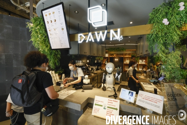 Dawn avatar robot cafe a tokyo
