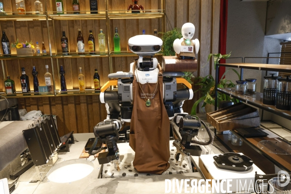 Dawn avatar robot cafe a tokyo
