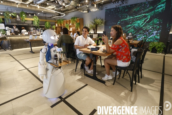 Dawn avatar robot cafe a tokyo