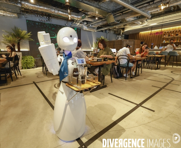 Dawn avatar robot cafe a tokyo