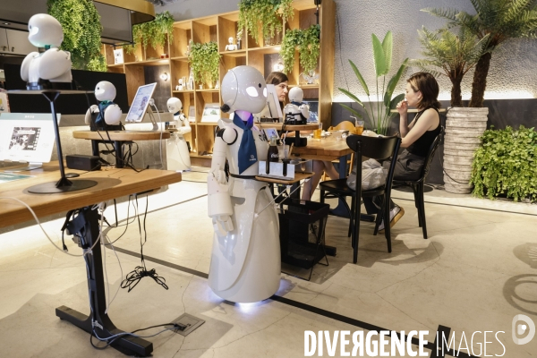 Dawn avatar robot cafe a tokyo