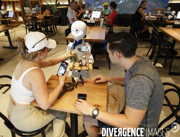 Dawn avatar robot cafe a tokyo