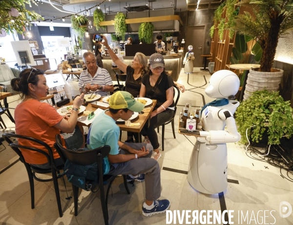 Dawn avatar robot cafe a tokyo