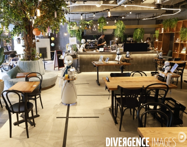 Dawn avatar robot cafe a tokyo