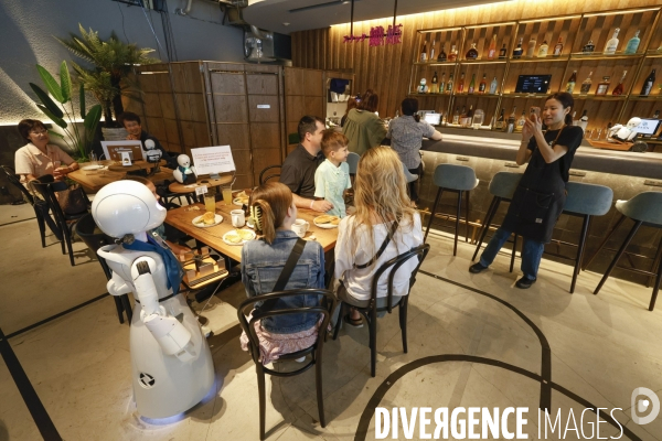Dawn avatar robot cafe a tokyo