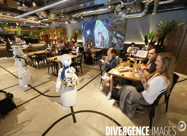 Dawn avatar robot cafe a tokyo