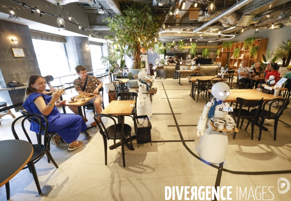 Dawn avatar robot cafe a tokyo