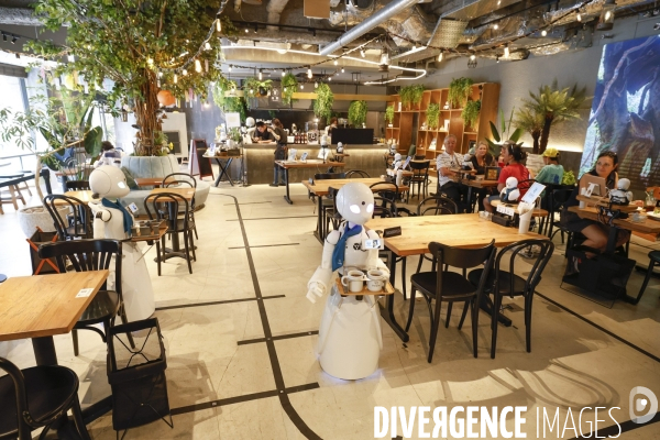 Dawn avatar robot cafe a tokyo