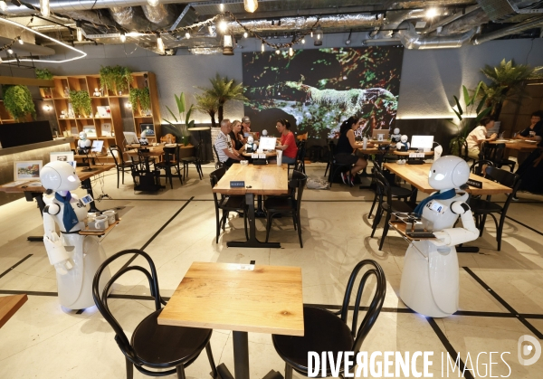 Dawn avatar robot cafe a tokyo