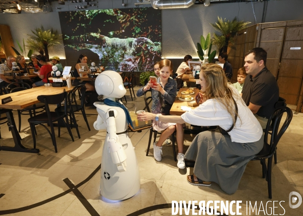 Dawn avatar robot cafe a tokyo