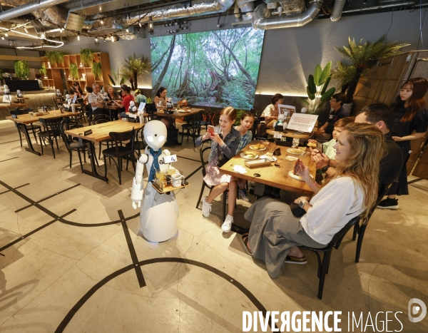 Dawn avatar robot cafe a tokyo
