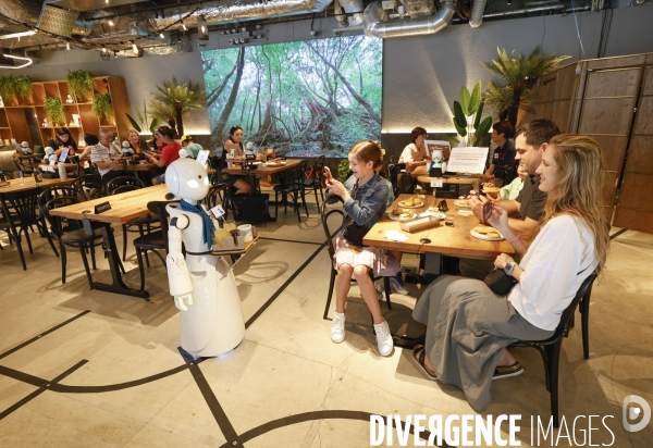 Dawn avatar robot cafe a tokyo