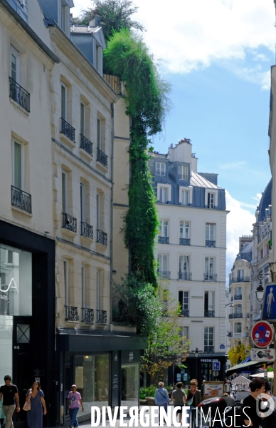 Illustration juillet 2023