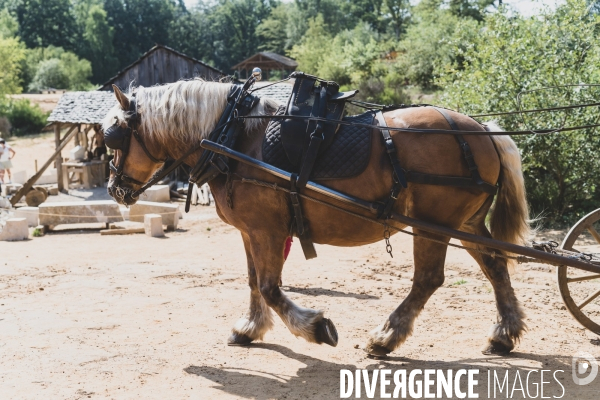 Guedelon: la construction d un chateau fort