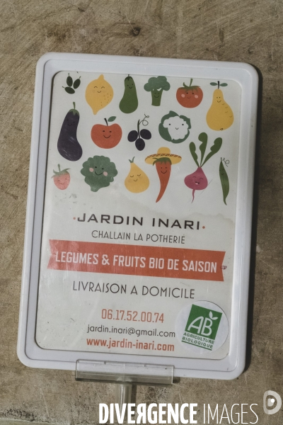 Jardin Inari: le maraichage bio