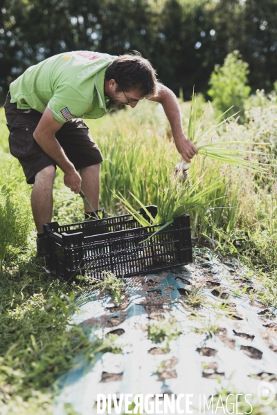 Jardin Inari: le maraichage bio