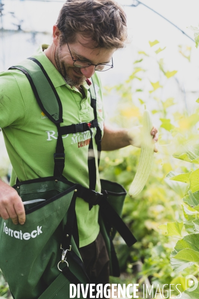 Jardin Inari: le maraichage bio