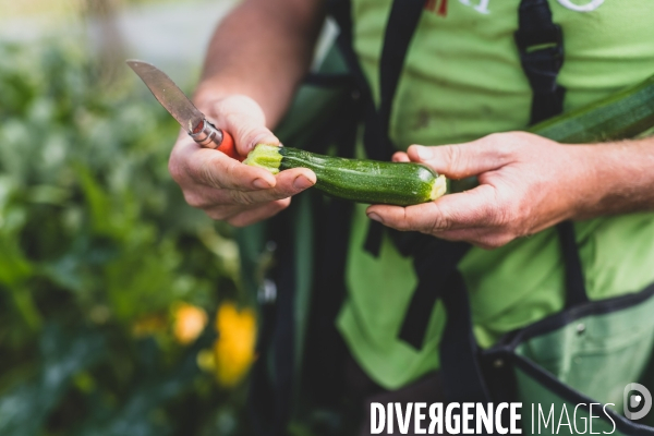 Jardin Inari: le maraichage bio