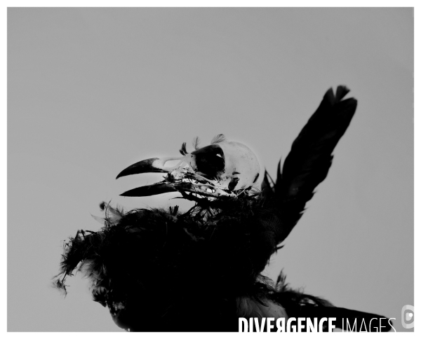 Piaf Story ( et changement climatique )