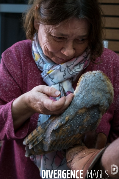 Les chouettes du coeur