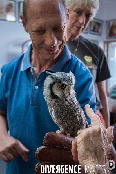 Les chouettes du coeur