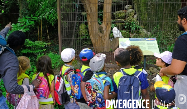 A la ménagerie du jardin des plantes