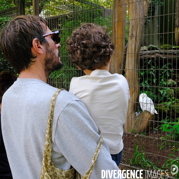 A la ménagerie du jardin des plantes