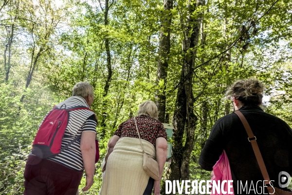 Rallye de la Biodiversite dans le Parc National des Forets