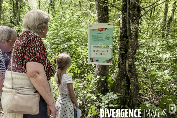Rallye de la Biodiversite dans le Parc National des Forets