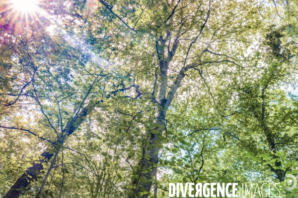 Rallye de la Biodiversite dans le Parc National des Forets