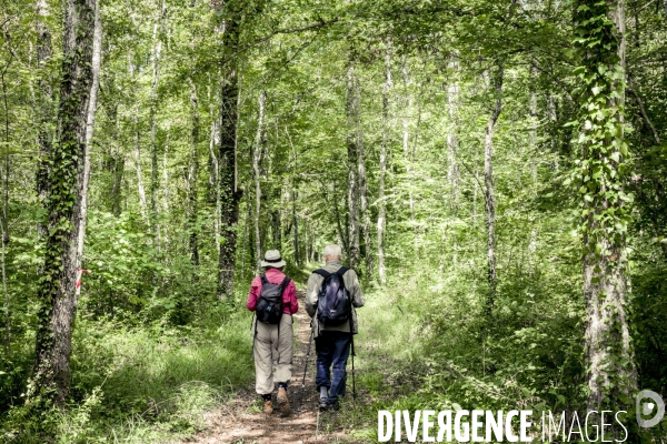 Rallye de la Biodiversite dans le Parc National des Forets