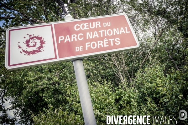Rallye de la Biodiversite dans le Parc National des Forets