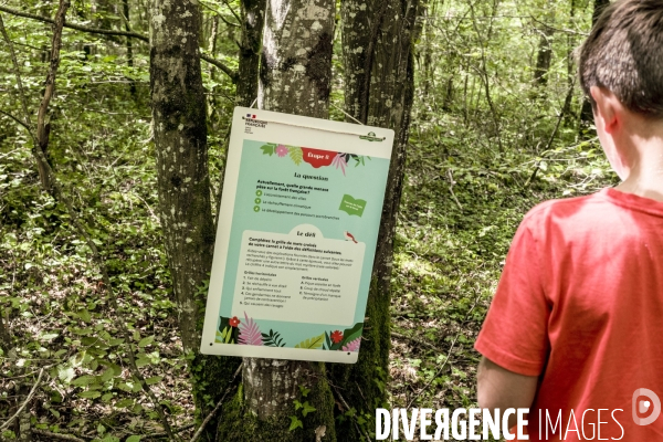 Rallye de la Biodiversite dans le Parc National des Forets