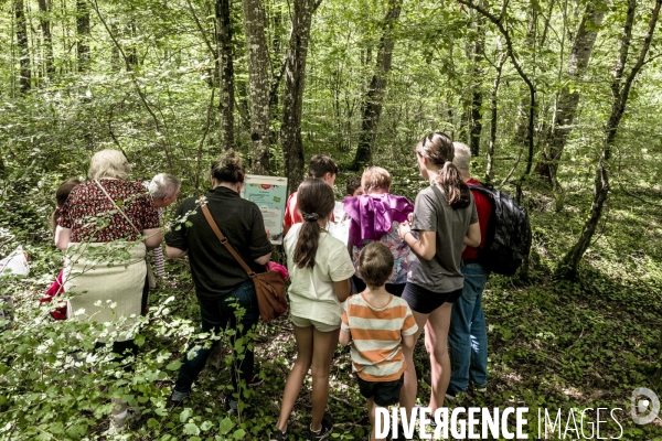 Rallye de la Biodiversite dans le Parc National des Forets